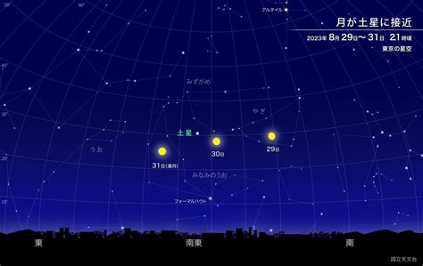 四綠木星 2023|【2023年8月1日〜2024年1月31日・四緑木星の運勢】真木あかり。